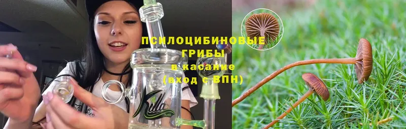 Псилоцибиновые грибы MAGIC MUSHROOMS  Киренск 